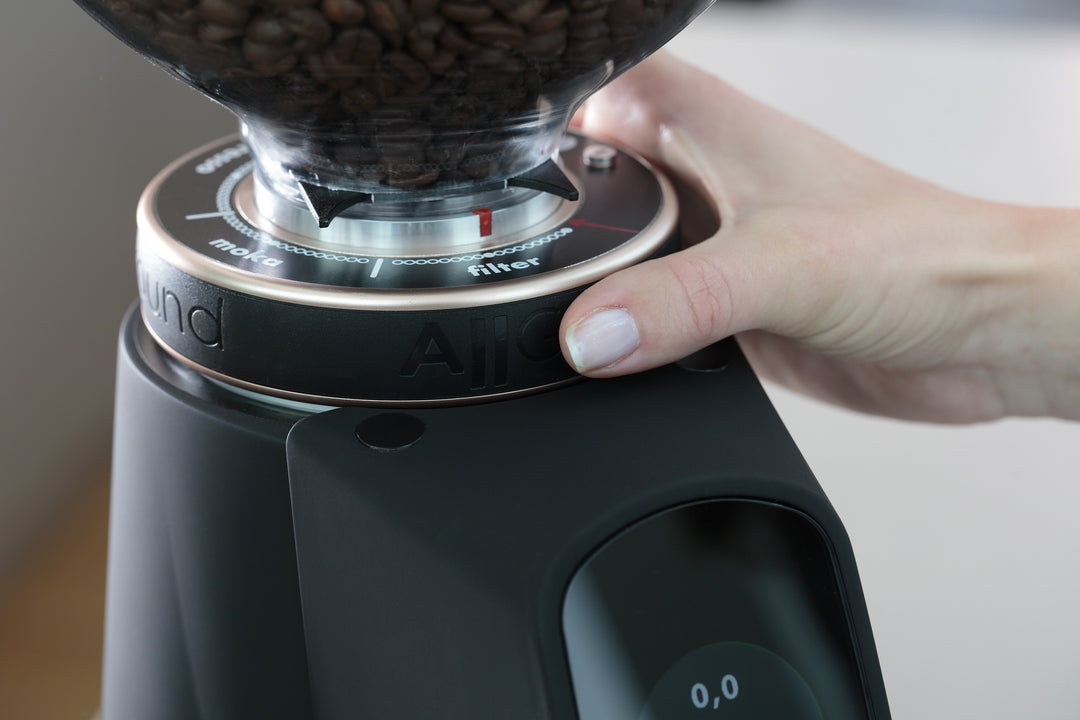Fiorenzato AllGround Kaffeemühle Chromegehäuse schwarz, 230V EU