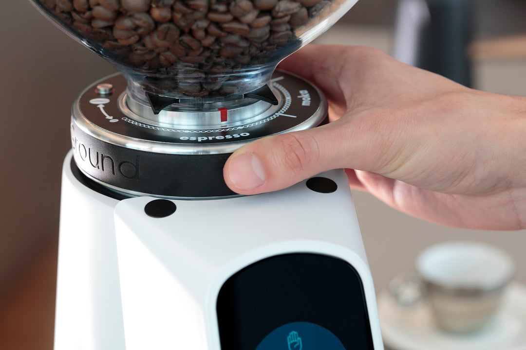 Fiorenzato AllGround Arctic Kaffeemühle Weiß Chrom, Dark-T Titan Mahlwerk