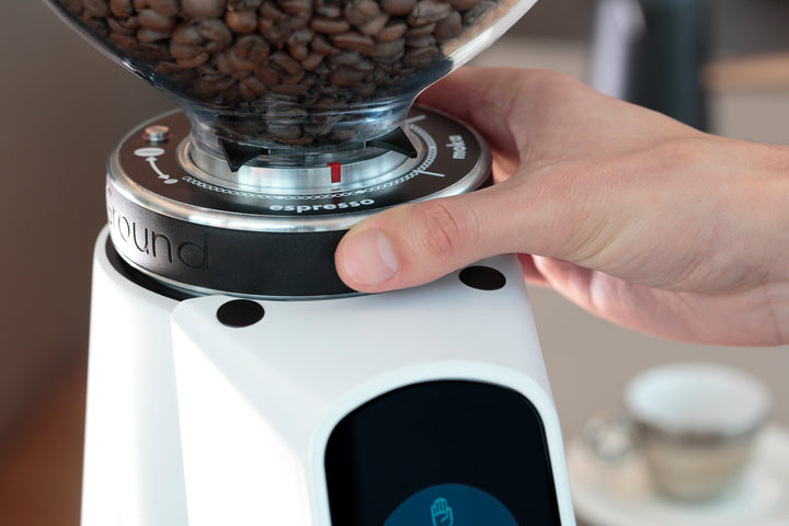 Fiorenzato AllGround Arctic Kaffeemühle Weiß Chrom, Dark-T Titan Mahlwerk